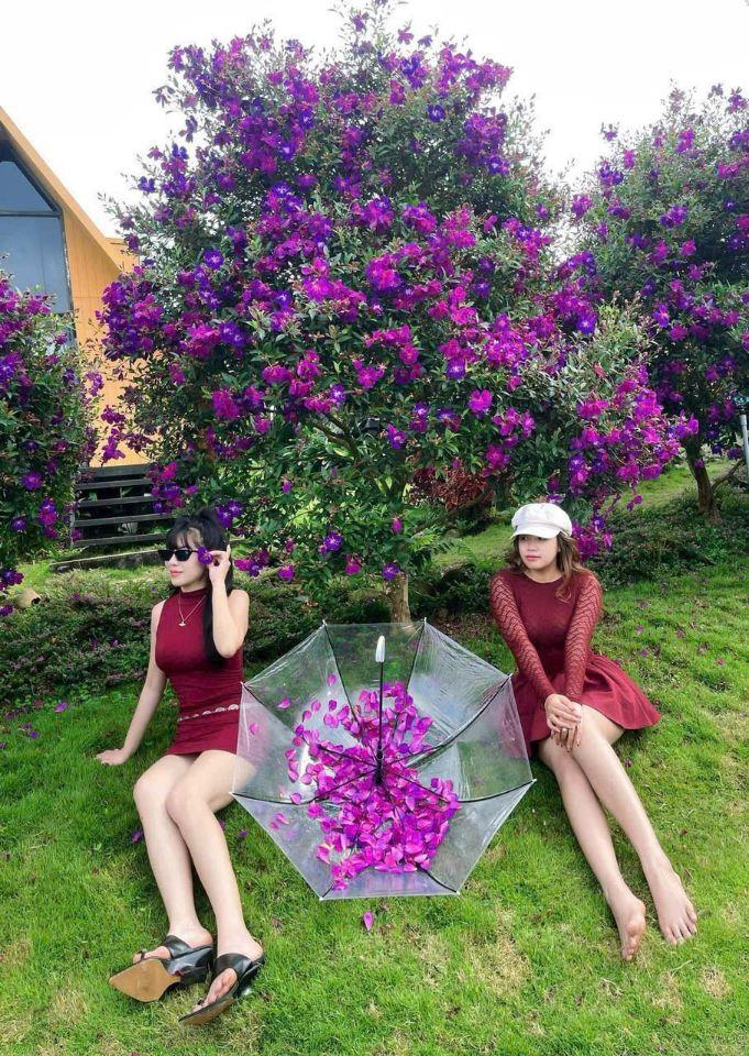 Làng OMM Bảo Lộc – lựa chọn đất nghỉ dưỡng giữa không gian xanh