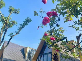 🌳 LÔ ĐẤT LỚN DÀNH CHO NGƯỜI CẦN NHIỀU KHÔNG GIAN