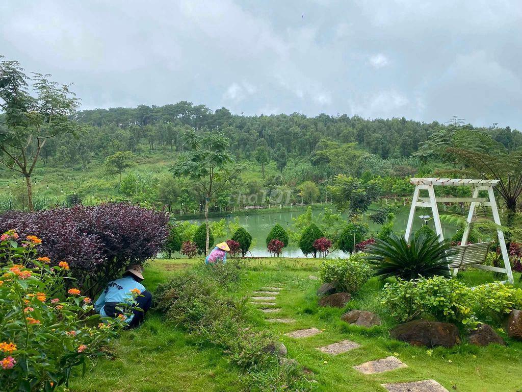 Đất thổ cư Phường 2 Bảo Lộc