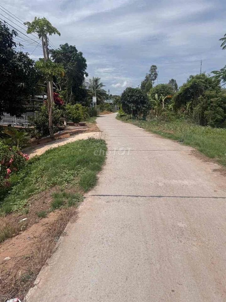 bán nền full thổ