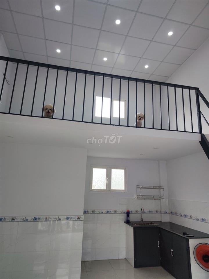 Nhà riêng biệt cần cho ở ghép