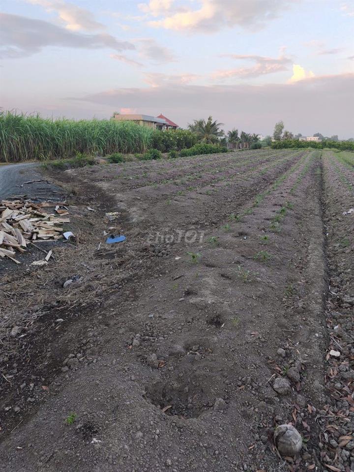Bán Mảnh vườn 1000m2