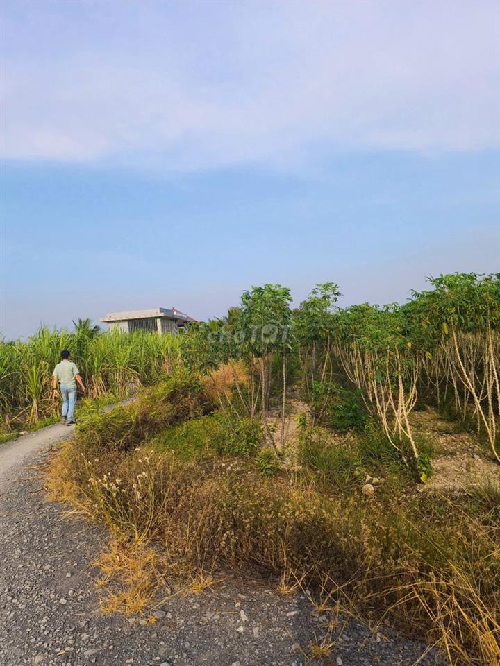 Bán Mảnh vườn 1000m2