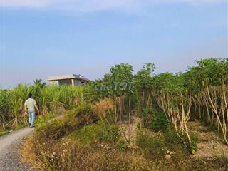 Bán Mảnh vườn 1000m2