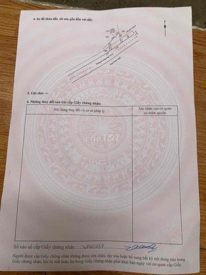 đất giá sinh viên