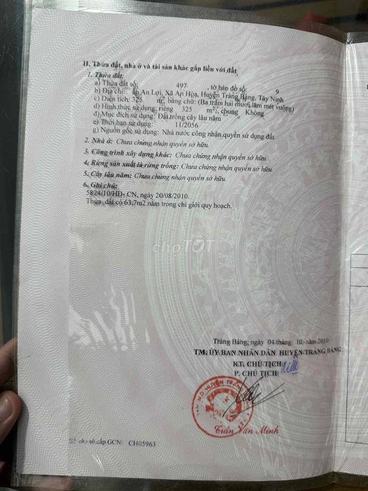 Bán đất chính chủ khu vực An Lợi, An Hoà, Trảng Bàng, Tây Ninh