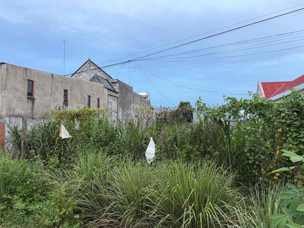 Bán đất chính chủ khu vực An Lợi, An Hoà, Trảng Bàng, Tây Ninh