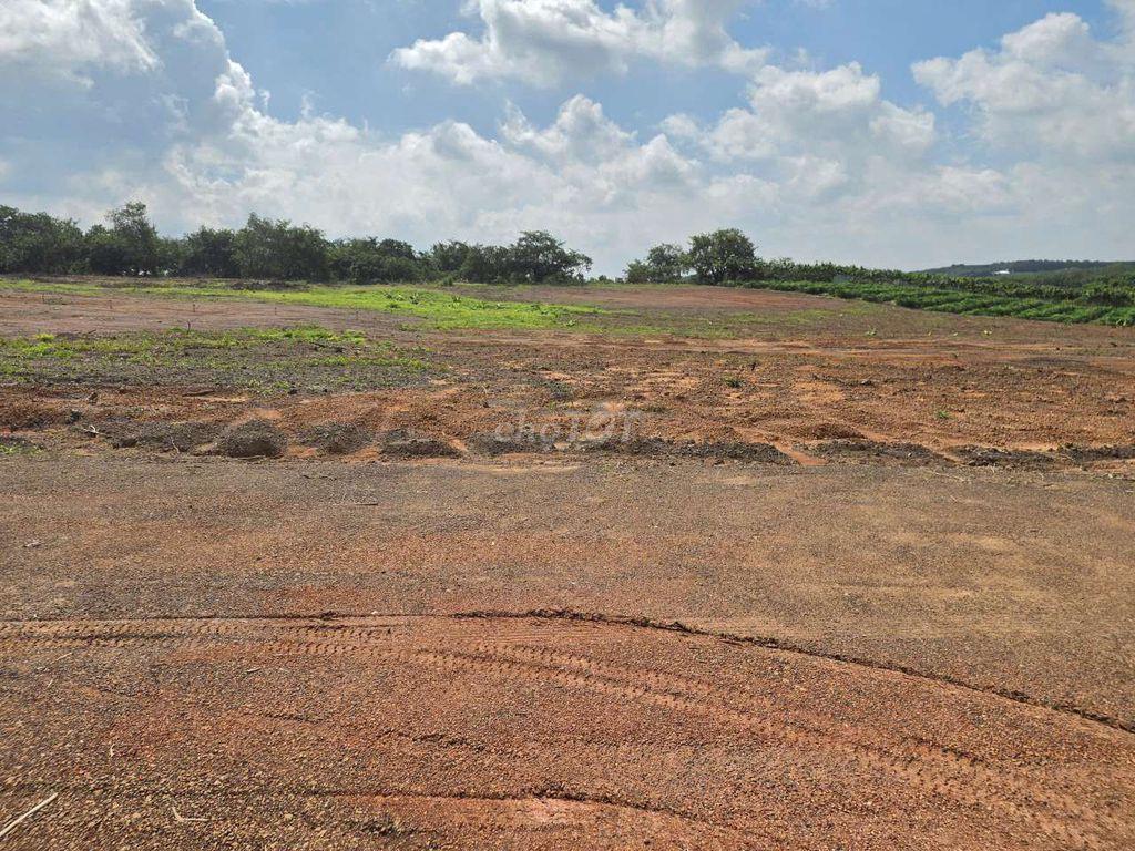 Bán gấp 240m2 6m mặt tiền đường nhựa xuyên tâm 32m