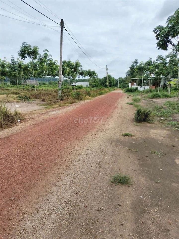 Mình có lô đất vườn hơn 1100m2 sẵn thổ cư giá rẻ chính chủ cần bán