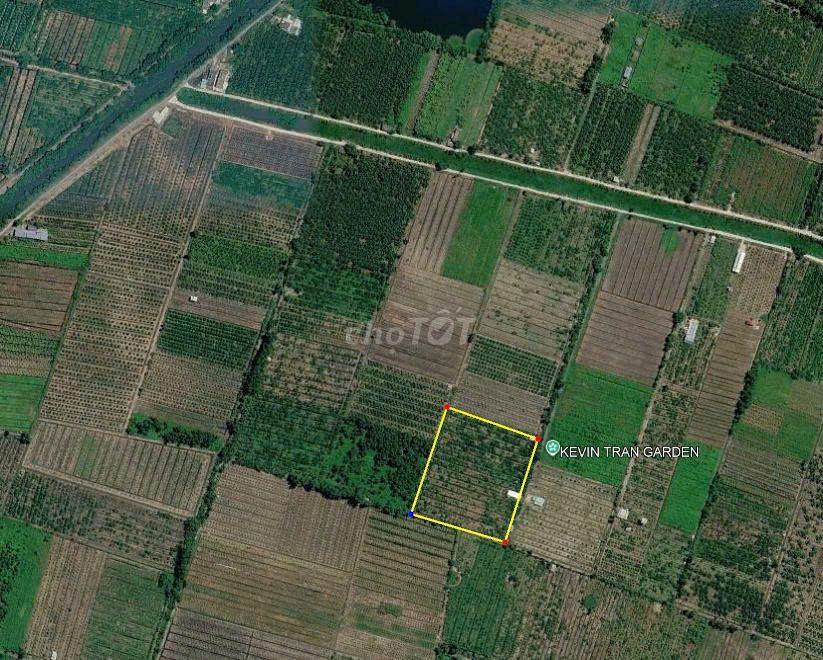 Bán 14771 m2 đất mặt tiền đường, Xã Thạnh Hòa, Bến Lức, Long An