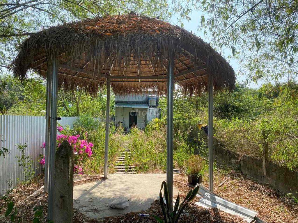 🏡 CHÍNH CHỦ CẦN BÁN NHÀ RIÊNG TẠI CỦ CHI, TP. HỒ CHÍ MINH