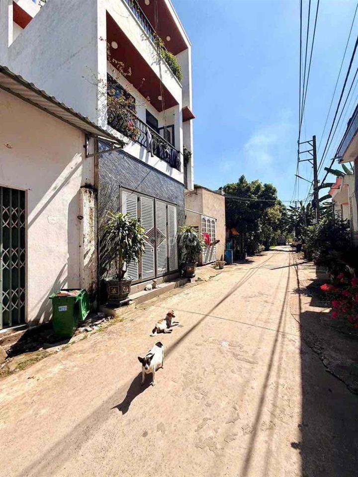 📣Bán Dãy Trọ phường Trảng Dài - Đang cho thuê dòng tiền ổn định ~10 Tr