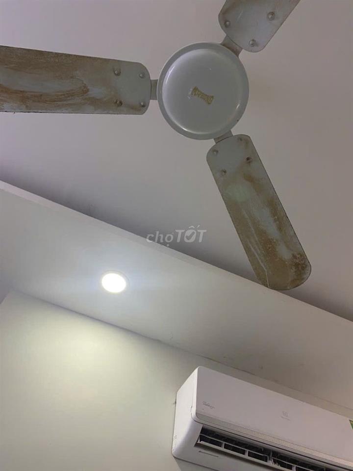 Cho nhân viên văn phòng hoặc sinh viên thuê phòng