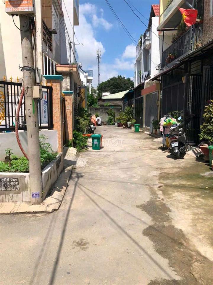 Cân cho thuê lâu daig