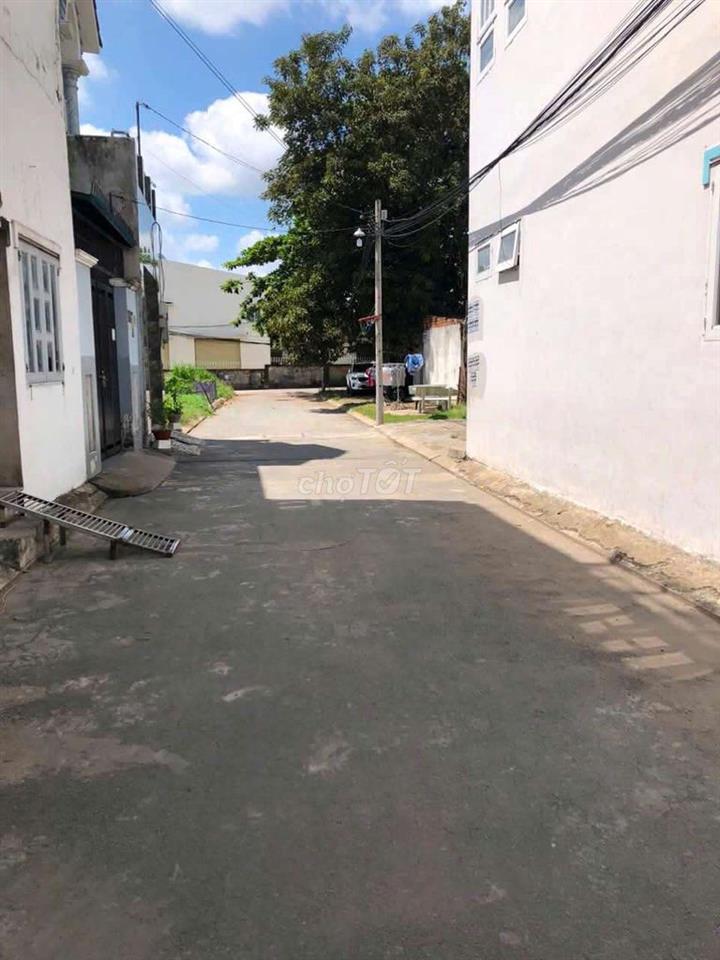 Cân cho thuê lâu daig