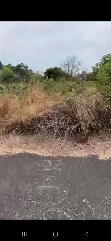 Đất tái định cư Long Thọ , Đồng Nai