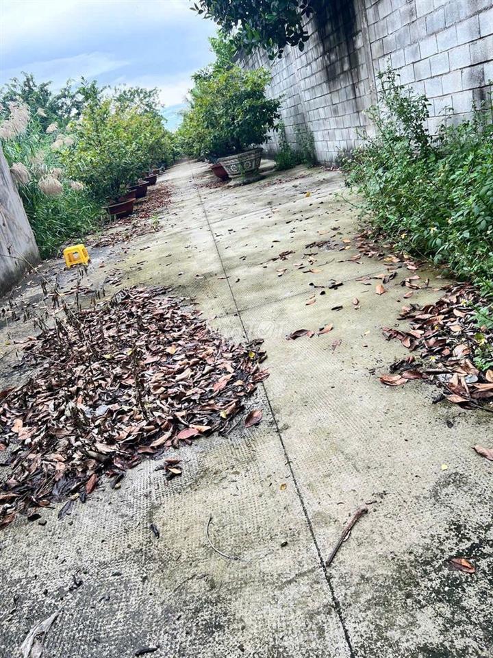 Bán đất đường bờ sông Đường Vườn Lài, Phường An Phú Đông, Quận 12