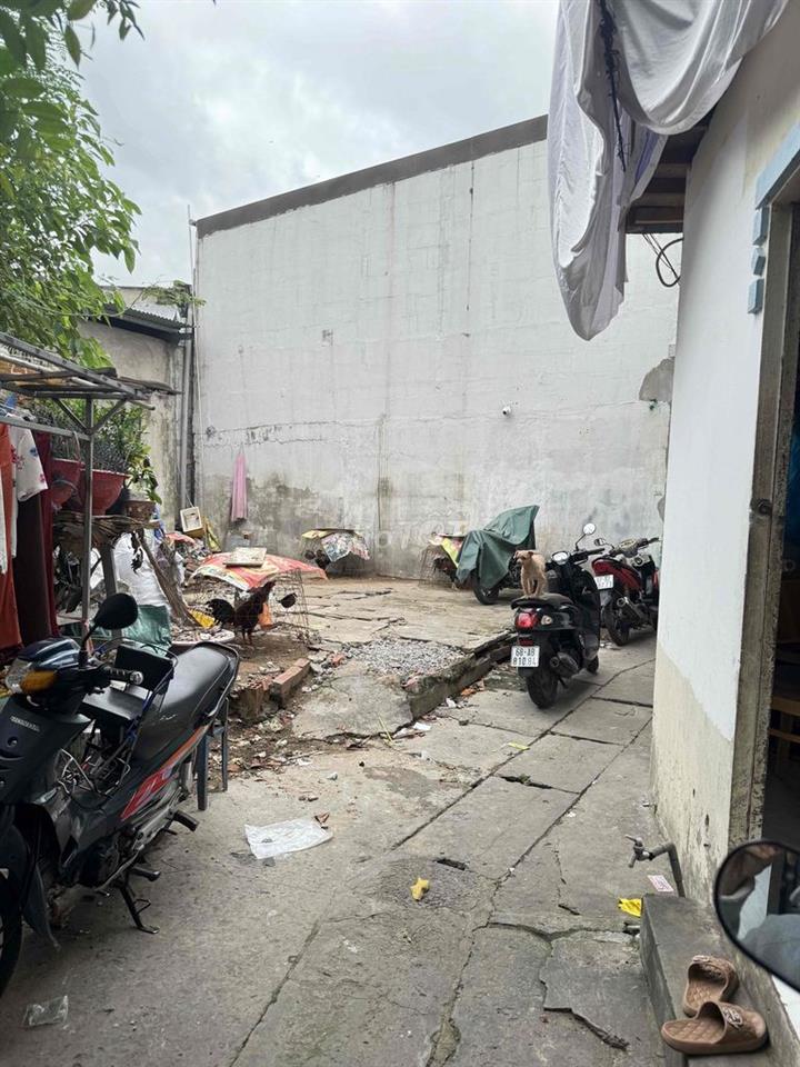 bán nền