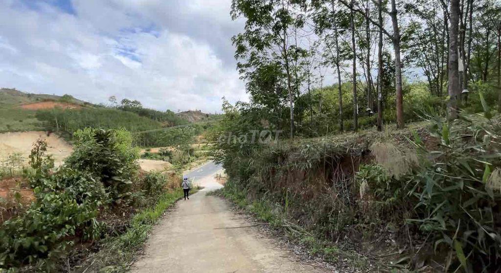 BÁN 2HA MẶT TIỀN QUỐC LỘ 24 – CÁCH MĂNG ĐEN CHƯA TỚI 10KM