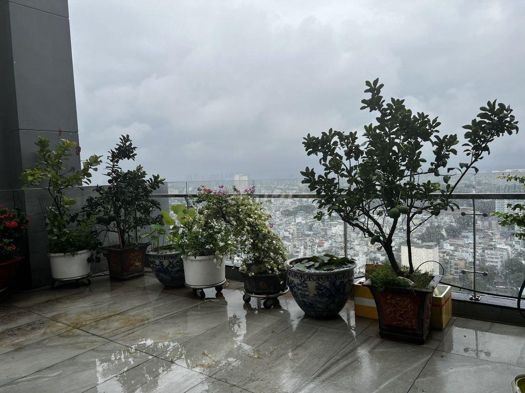 CĂN HỘ XI GRAND COURT  – 150M² (4PN, 3WC) –TẦNG CAO NHÀ MỚI –  25TR/TH