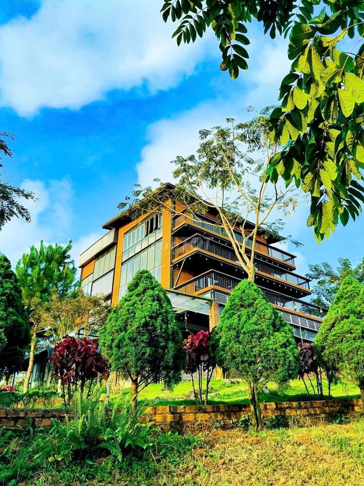 chủ ngộp bán gấp 200m2 view rừng thông trung tâm thành phố bảo lộc