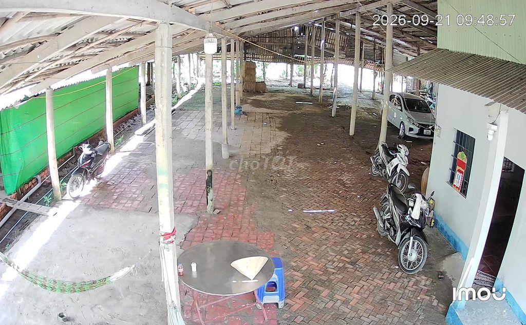 CHÍNH CHỦ CẦN BÁN  1.717,5 M² ĐẤT TẠI MANG THÍT VĨNH LONG GIÁ 2,5 TỶ