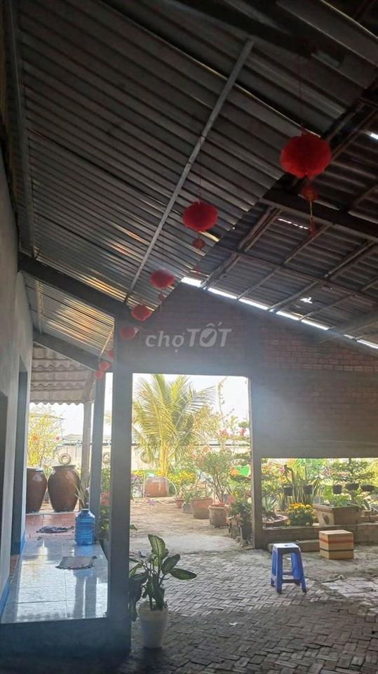 CHÍNH CHỦ CẦN BÁN  1.717,5 M² ĐẤT TẠI MANG THÍT VĨNH LONG GIÁ 2,5 TỶ