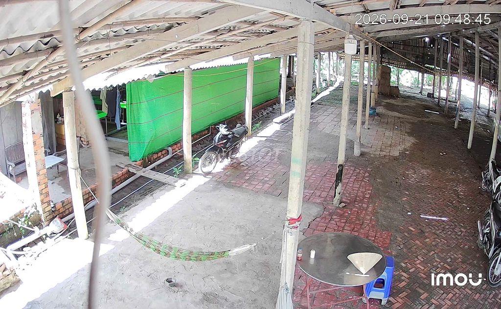 CHÍNH CHỦ CẦN BÁN  1.717,5 M² ĐẤT TẠI MANG THÍT VĨNH LONG GIÁ 2,5 TỶ