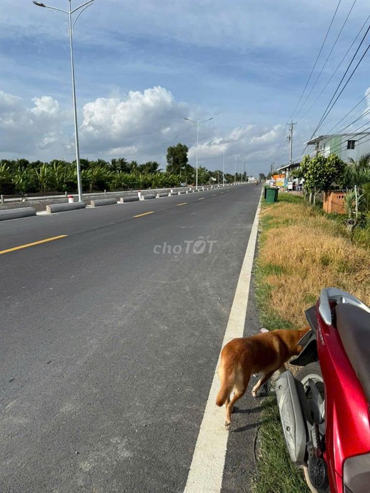 CHÍNH CHỦ CẦN BÁN 957,6M² ĐẤT TẠI MANG THÍT – VĨNH LONG | GIÁ 2,3 TỶ