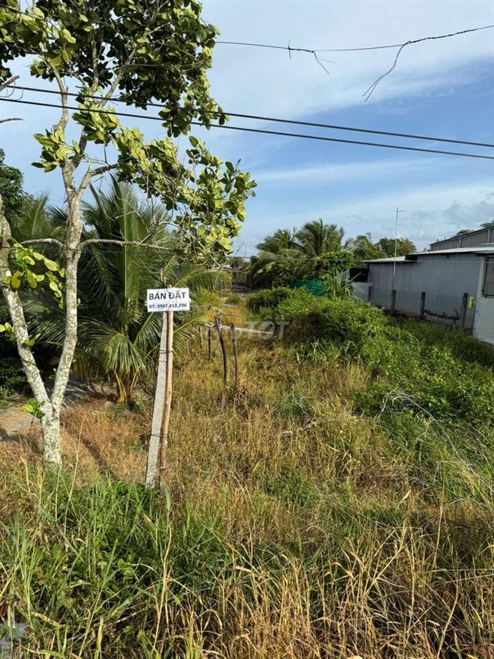 CHÍNH CHỦ CẦN BÁN 957,6M² ĐẤT TẠI MANG THÍT – VĨNH LONG | GIÁ 2,3 TỶ