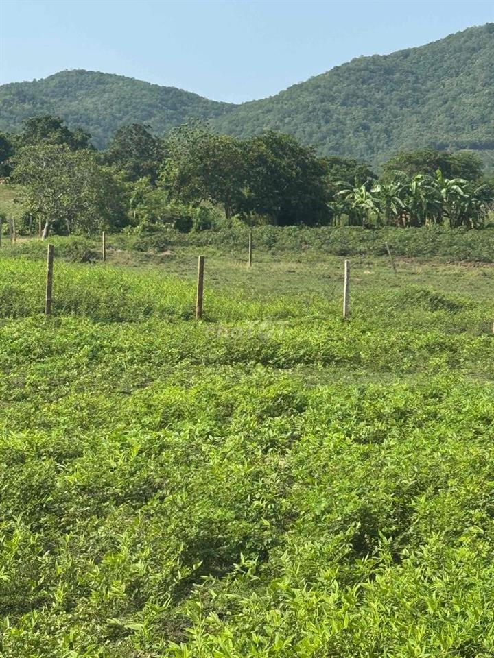 Đất 4269..8m2 HNK