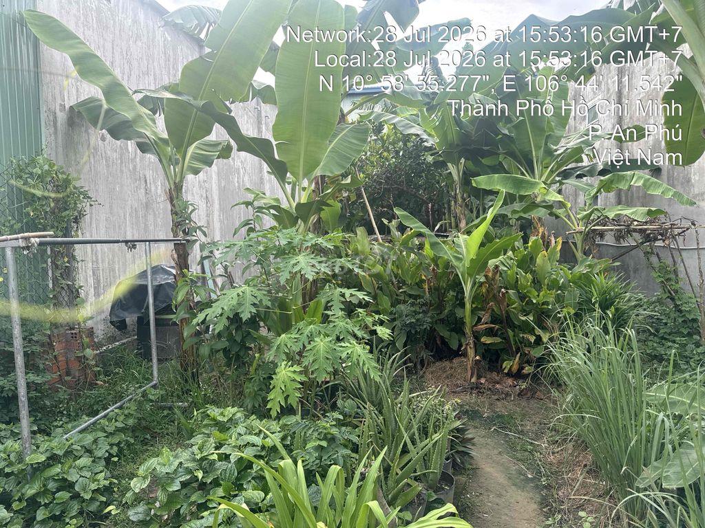 Bán đất ngay Ngã Tư Miếu Ông Cù
