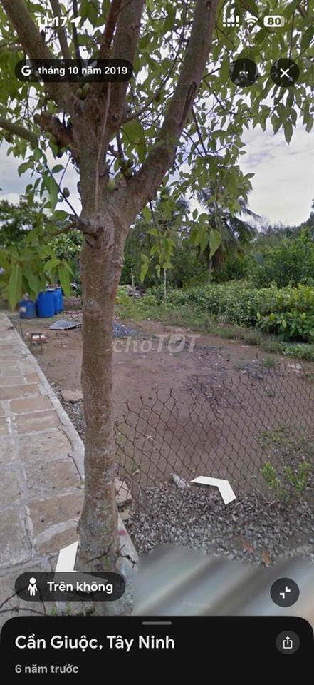 🏡 ĐẤT ĐẸP TRUNG TÂM THỊ TRẤN CẦN GIUỘC – GIÁ TỐT