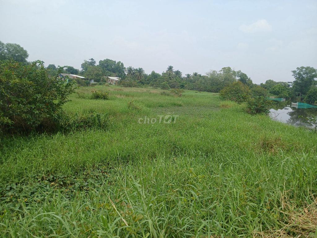 Bán 5000m2 đất nông nghiệp xã Hưng Long (Đa Phước)