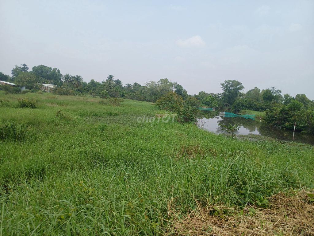 Bán 5000m2 đất nông nghiệp xã Hưng Long (Đa Phước)