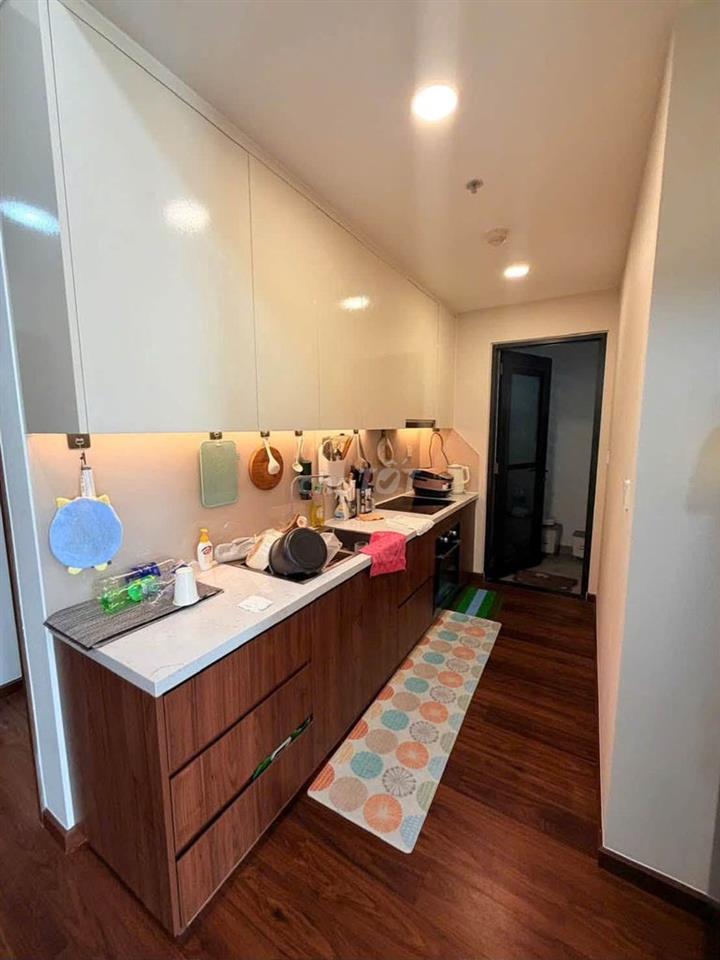 Cho Thuê Căn Hộ Akari City 2 Phòng Ngủ 2 Nhà Vệ Sinh Full Nội Thất 