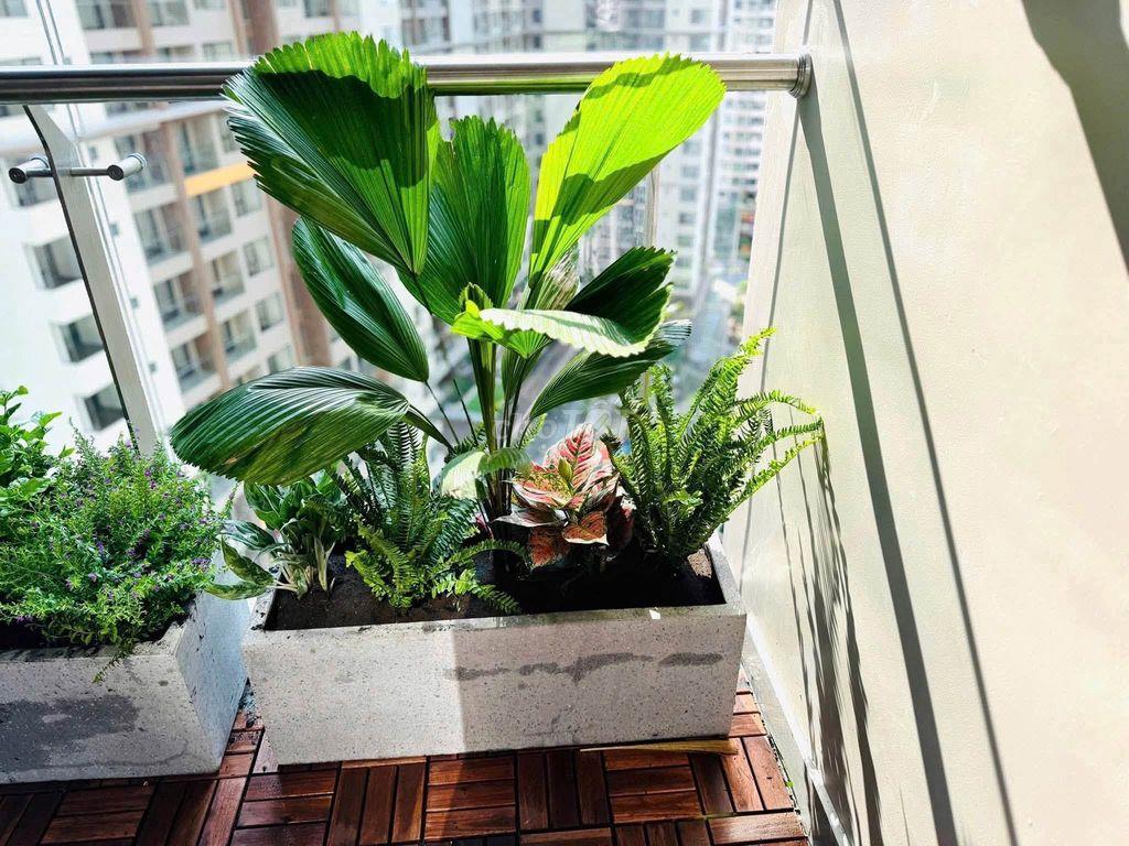 Cho Thuê Gấp Căn Hộ Akari City 78m² 2PN 2WC Full Nội Thất Cao Cấp