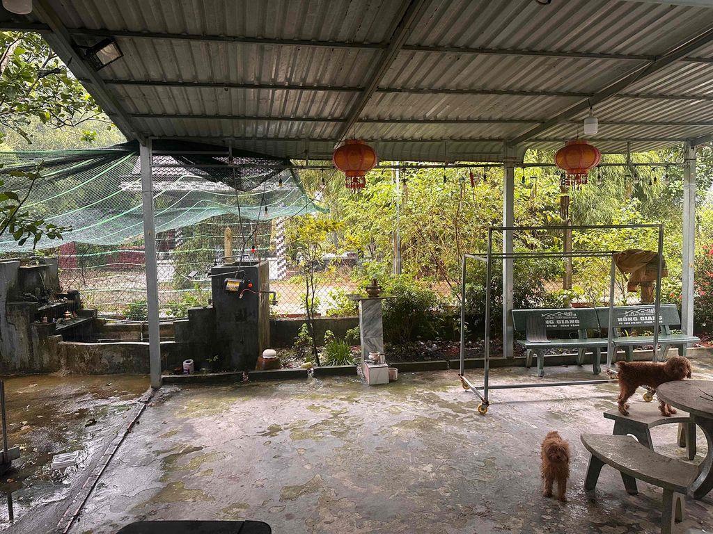 cần bán đất luôn nhà như hình,tổng diện tích đất gần 500m2