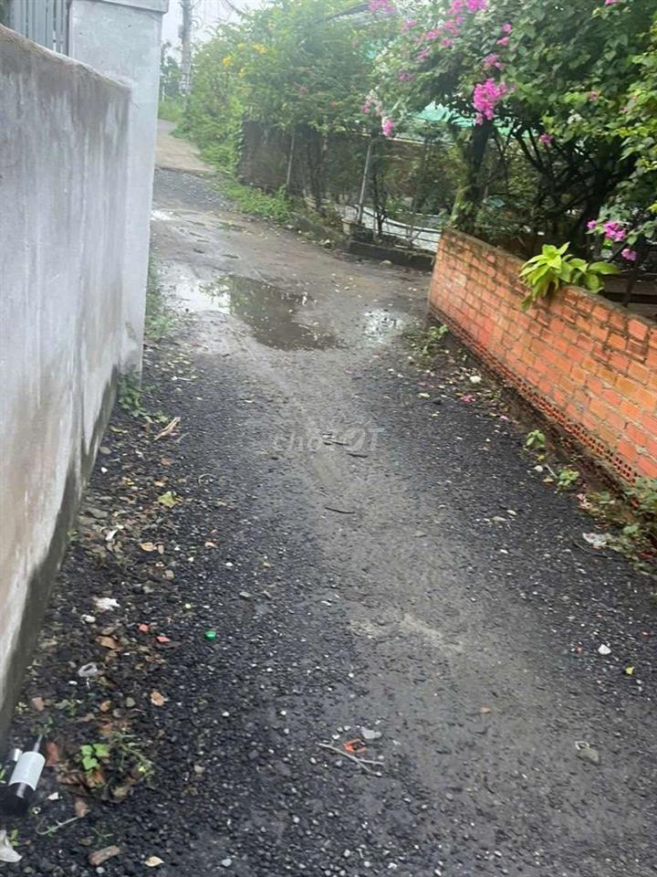Bán Hoặc Cố Nhà Ở Đa Phước Bình Chánh