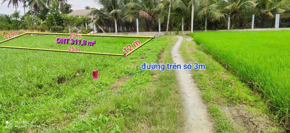 Chính chủ cần bán đất tại huyện Tân Trụ, tỉnh Long An (cũ)