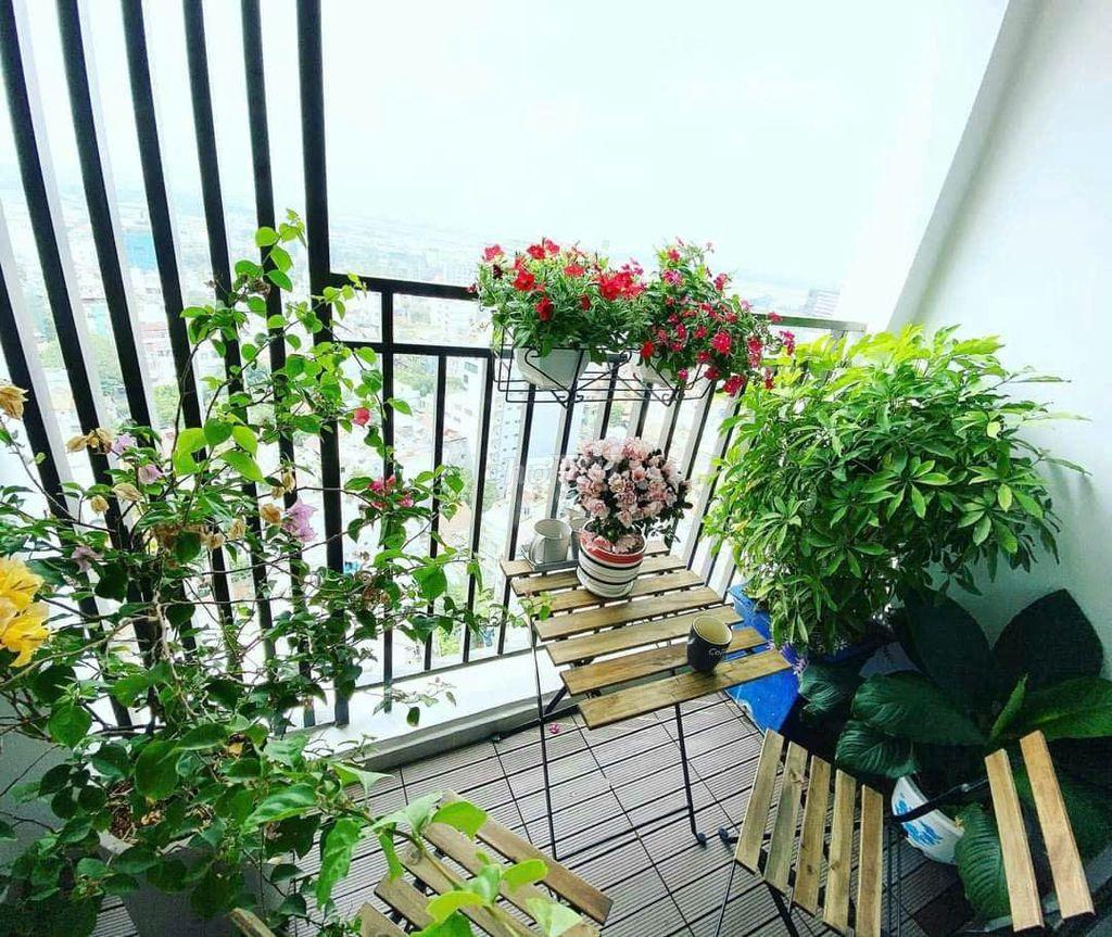 Chính chủ cần bán carillon 2 – căn hộ tâm huyết