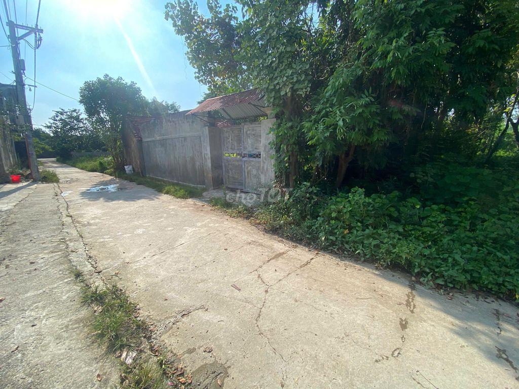 Chính chủ bán 540m² đất tại Mỹ Văn, Chuyên Mỹ, Phú Xuyên, Hà Nội