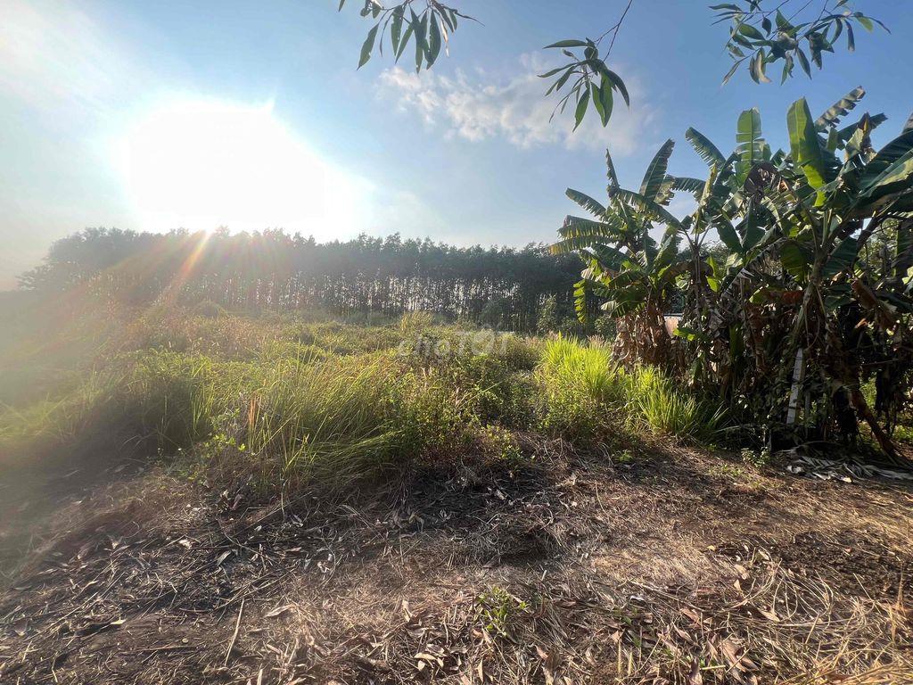 CHÍNH CHỦ BÁN 1048M2 ĐÔNG HÒA - NGANG 19.6M CỰC HIẾM  - Diện tích: 104
