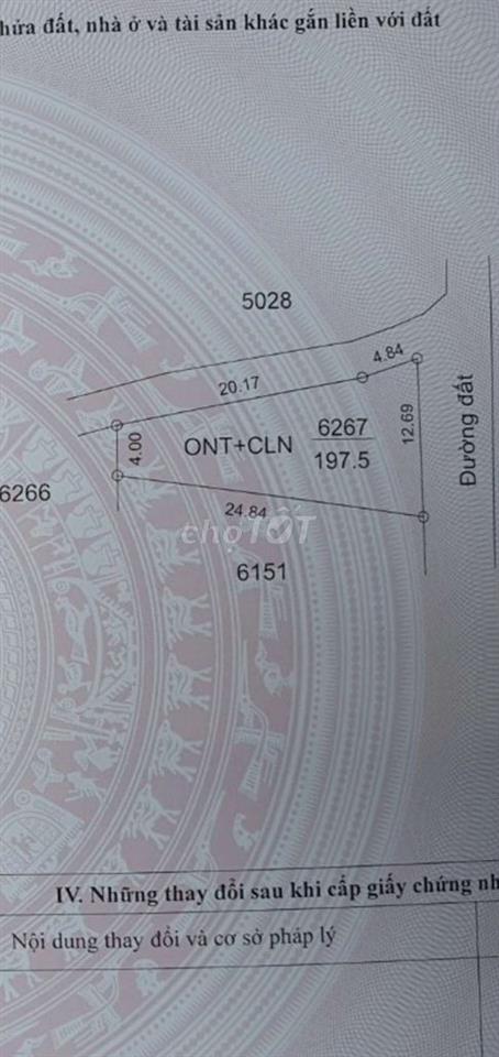 Đất dành dưỡng già cần tiền bán.