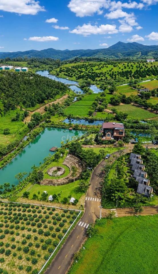 Đất nghỉ dưỡng trung tâm Tp Bảo Lộc chỉ 800tr sổ sẵn