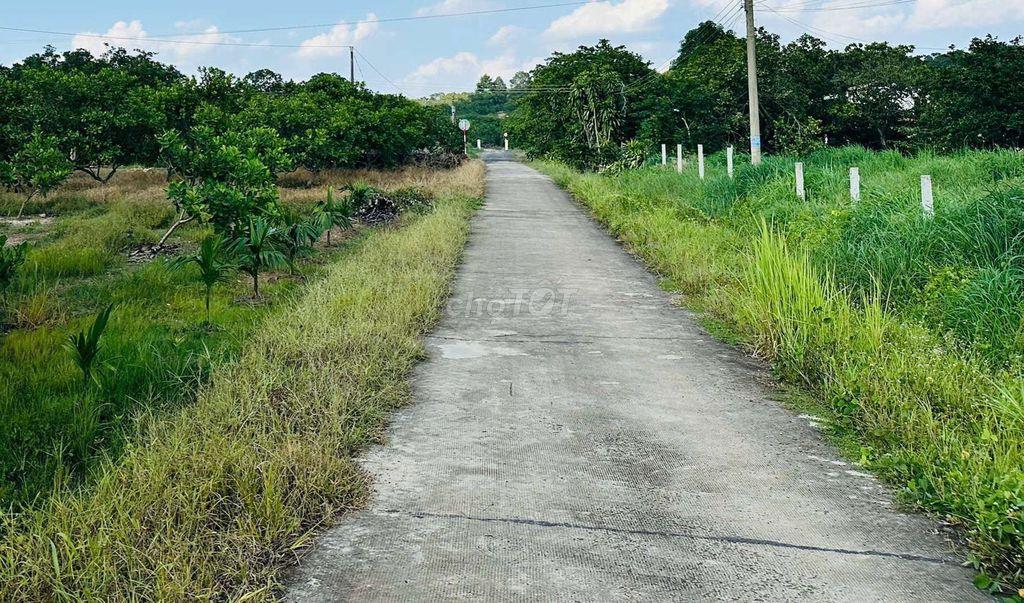 Bán đất vườn tăng nhà 1000m2 giá 490 triệu