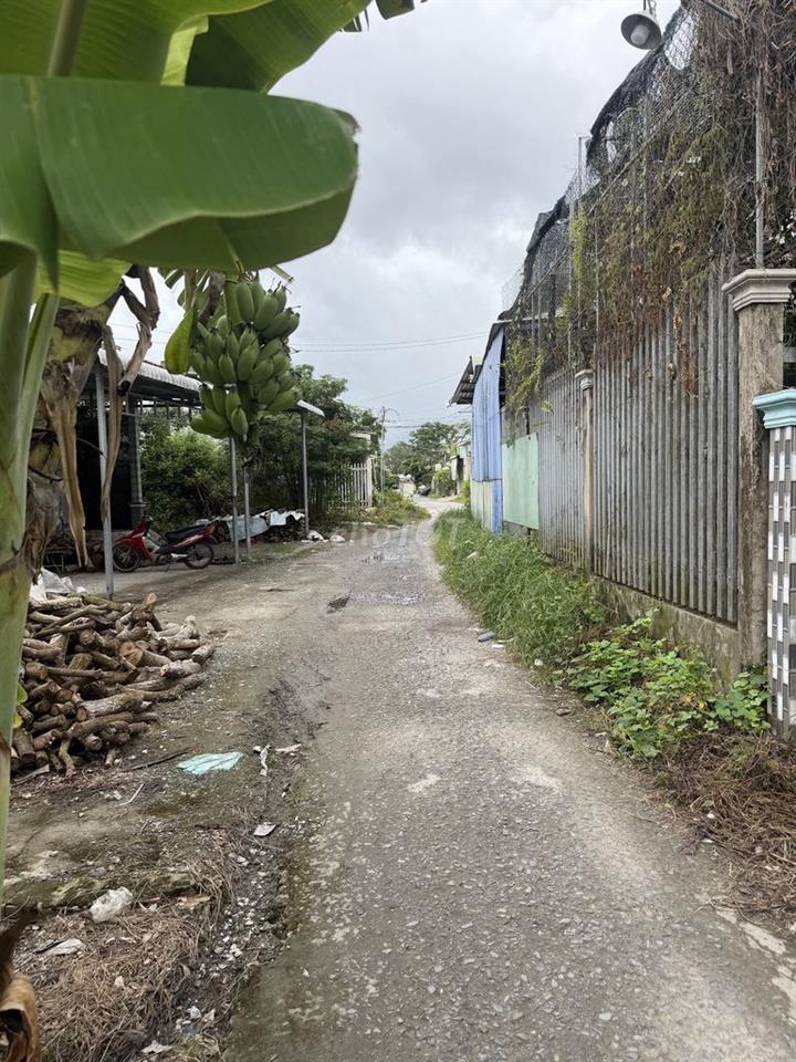 Bán đất chính chủ
