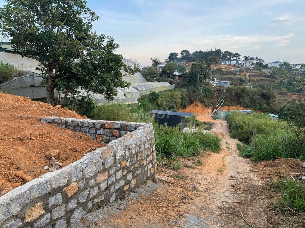 Bán lô đất (có thể lên thổ 100%)
