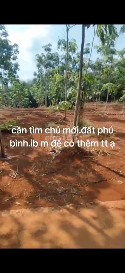 Chính chủ cần bán đất ở Phú Riềng