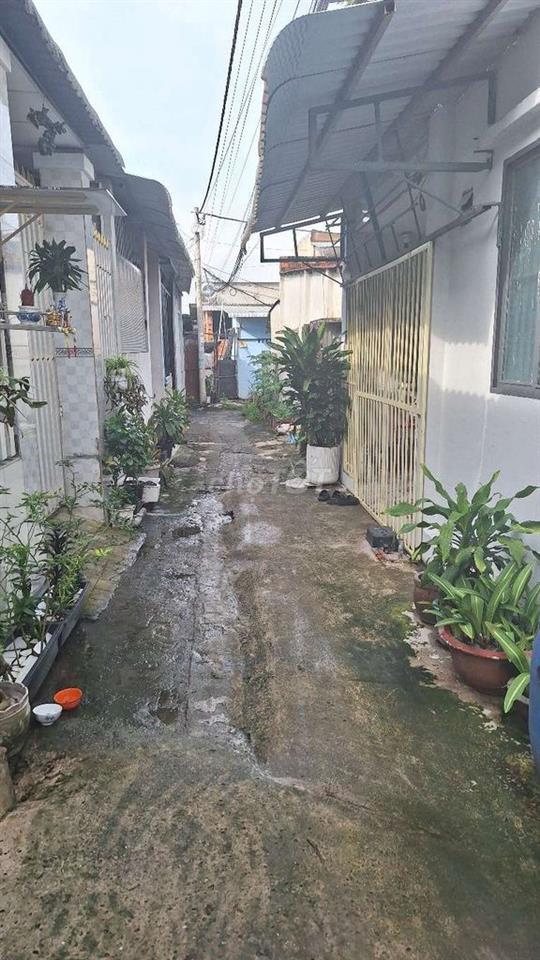 Nhà cho thuê